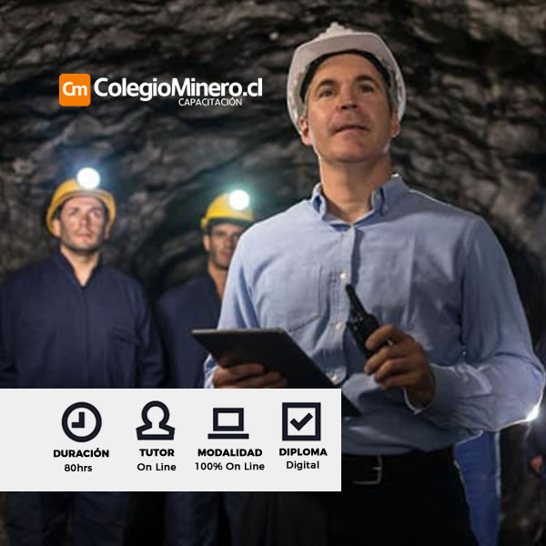 Curso Planificación y Control de Producción en Minería